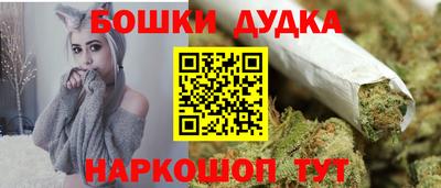 гидра Кинель