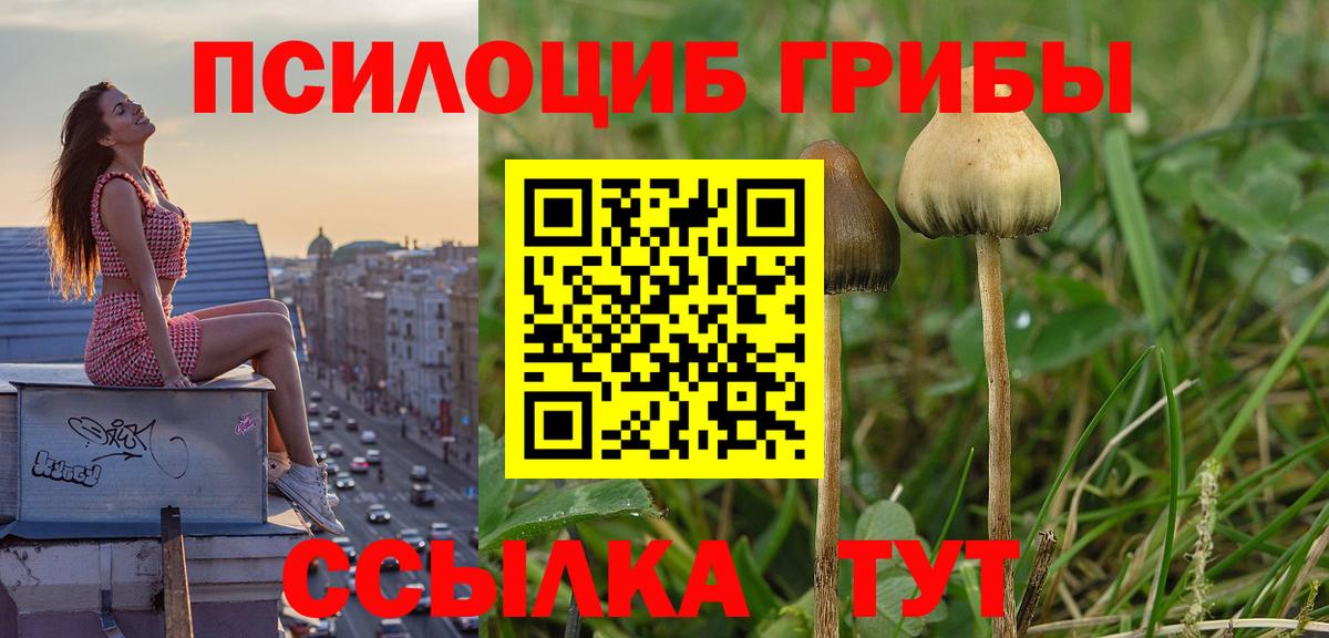 Галлюциногенные грибы мухоморы Кувандык