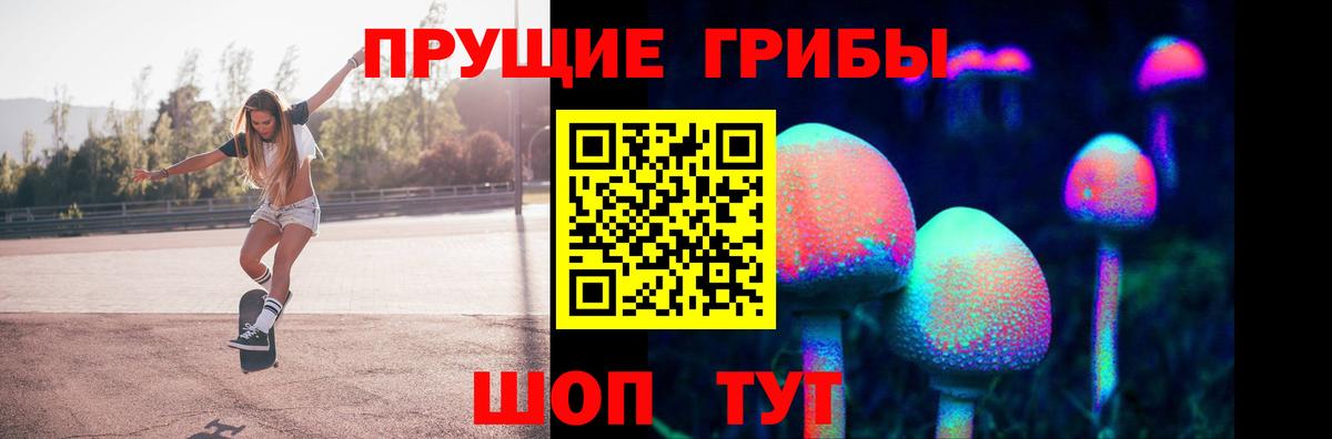 Кувандык  Псилоцибиновые грибы прущие грибы  Вход с VPN  Псилоцибиновые грибы Cubensis 